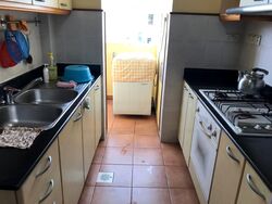 Euphony Gardens (D27), Condominium #481731371